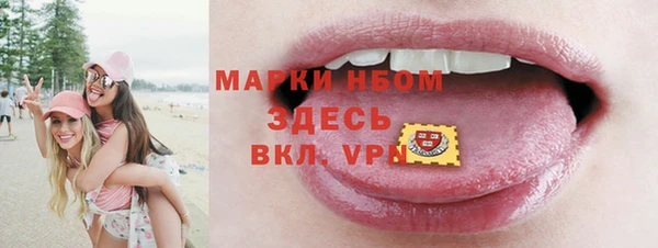 твердый Надым