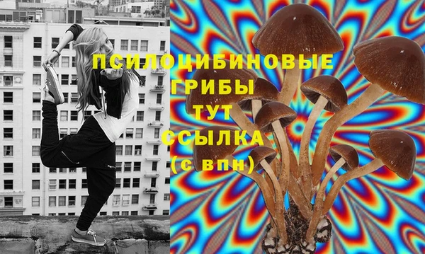 твердый Надым