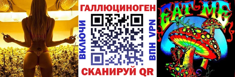 Псилоцибиновые грибы прущие грибы  Щёлкино 